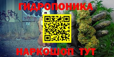 гидропоника Тула