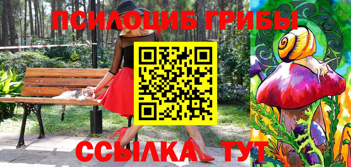 Электросталь  Галлюциногенные грибы Cubensis  Вход с VPN 