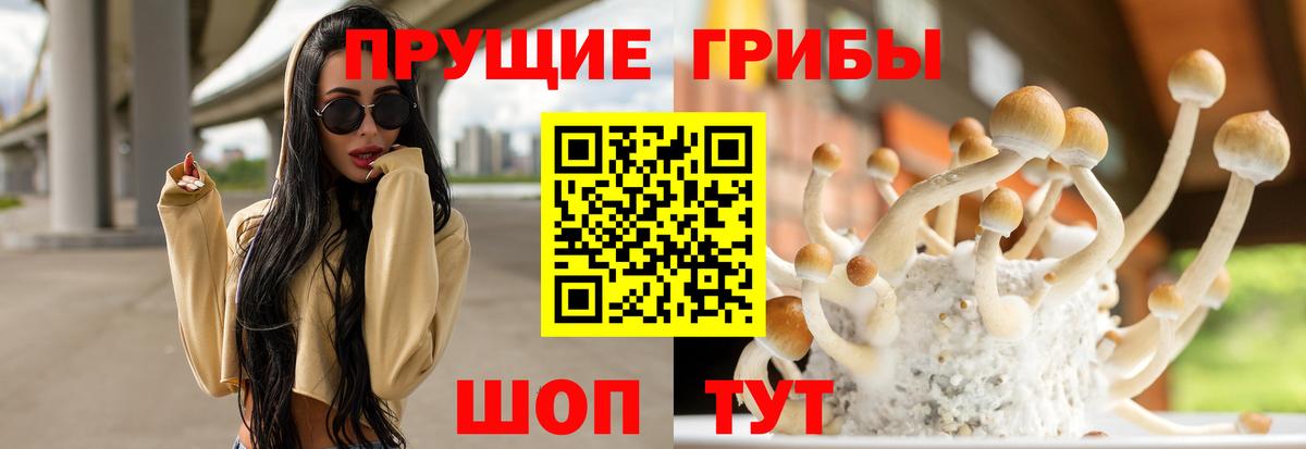 Псилоцибиновые грибы мицелий Электросталь
